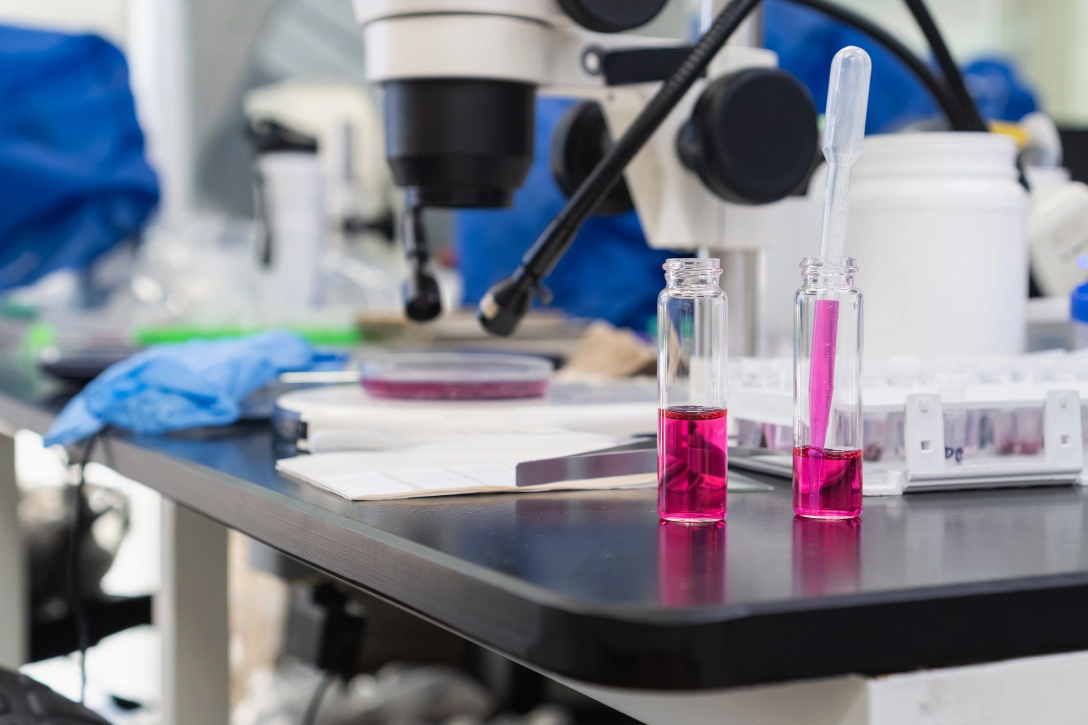 Laboratory developing scientific research with chemical liquids and microscope
